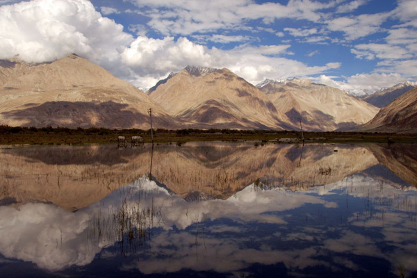 Vallée de la Nubra - Voyage à moto Transhimalayenne et Ladakh, Inde, Himalaya