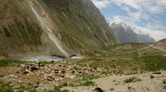 Bergé sur la route de Manali à Leh - Voyage à moto Transhimalayenne et Ladakh, Inde, Himalaya