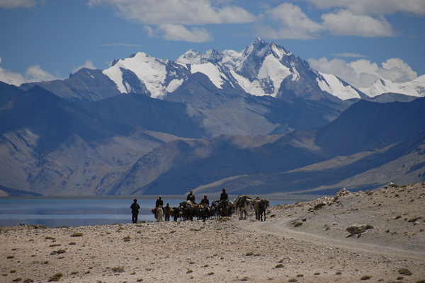 Nomade et chevaux au lac Tsomoriri - Voyage à moto Transhimalayenne et Ladakh, Inde, Himalaya