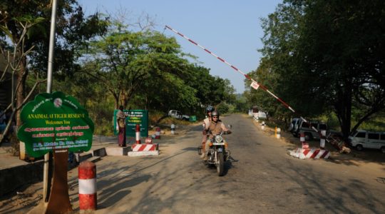 road-trip-moto-voyage-inde-sud-royal-enfield-kerala-karnataka-tamil-nadu-anaimalai-tiger-reserve