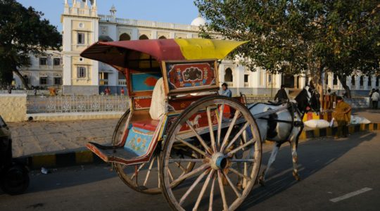 road-trip-moto-voyage-inde-sud-royal-enfield-kerala-karnataka-tamil-nadu-cheval-charette