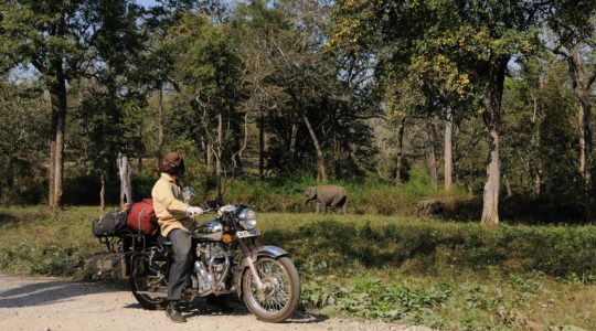 road-trip-moto-voyage-inde-sud-royal-enfield-kerala-karnataka-tamil-nadu-elephants