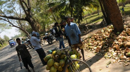 road-trip-moto-voyage-inde-sud-royal-enfield-kerala-karnataka-tamil-nadu-noix-coco