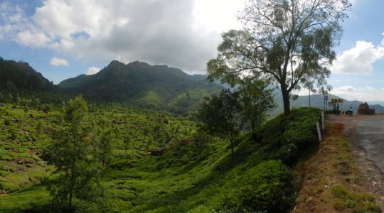 road-trip-moto-voyage-inde-sud-royal-enfield-kerala-karnataka-tamil-nadu-panorama-route-the