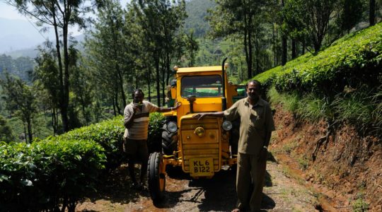 road-trip-moto-voyage-inde-sud-royal-enfield-kerala-karnataka-tamil-nadu-the-plantation-tracteur