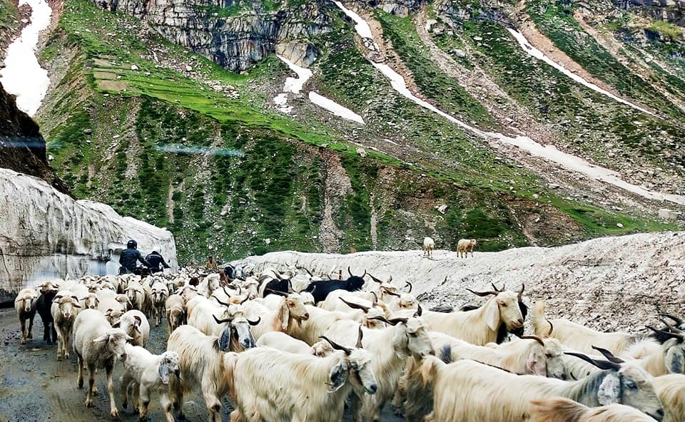 Descente vers la Lahaul - Road trip moto Transhimalayenne - Inde Ladakh