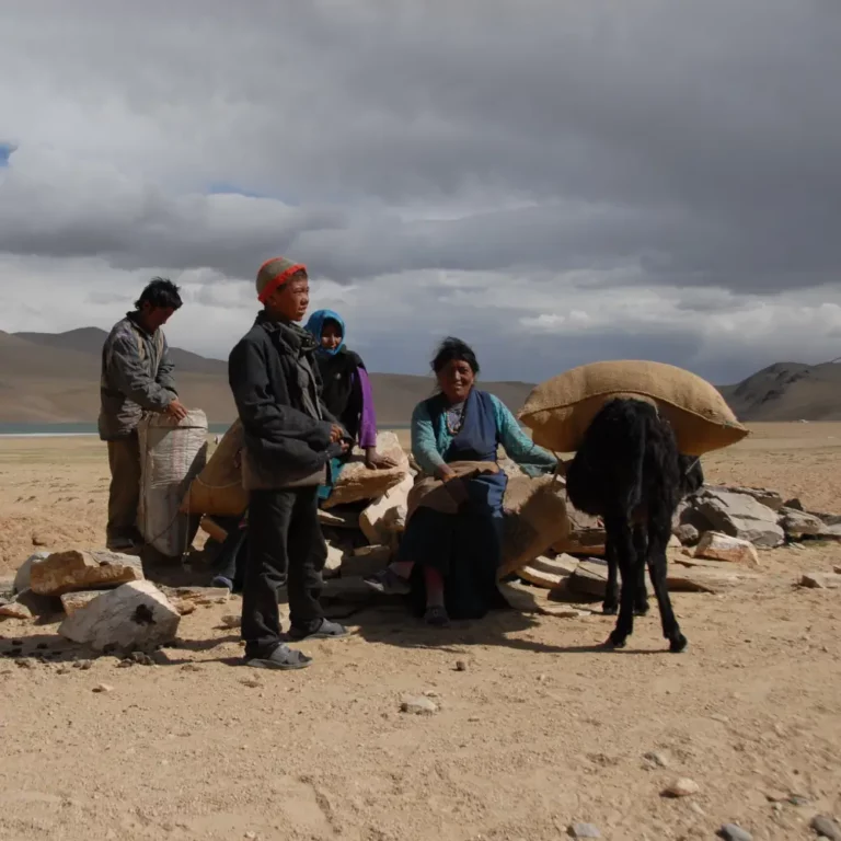 nomade-tsomoriri-changtang