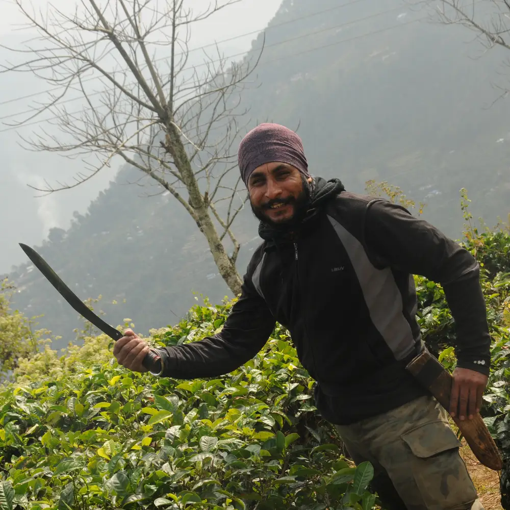 road-trip-moto-royal-enfield-himalaya-sikkim-darjeeling-team-himalayan-bikers (10)