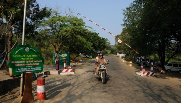 road-trip-moto-voyage-inde-sud-royal-enfield-kerala-karnataka-tamil-nadu-anaimalai-tiger-reserve