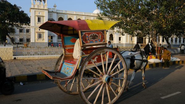 road-trip-moto-voyage-inde-sud-royal-enfield-kerala-karnataka-tamil-nadu-cheval-charette