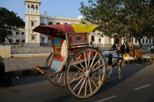 road-trip-moto-voyage-inde-sud-royal-enfield-kerala-karnataka-tamil-nadu-cheval-charette