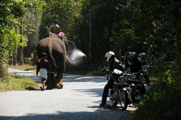 road-trip-moto-voyage-inde-sud-royal-enfield-kerala-karnataka-tamil-nadu-elephant-route