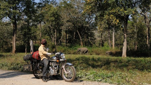 road-trip-moto-voyage-inde-sud-royal-enfield-kerala-karnataka-tamil-nadu-elephants