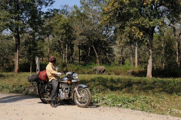 road-trip-moto-voyage-inde-sud-royal-enfield-kerala-karnataka-tamil-nadu-elephants