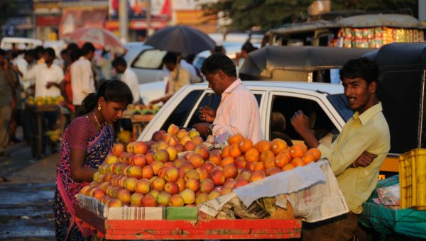 road-trip-moto-voyage-inde-sud-royal-enfield-kerala-karnataka-tamil-nadu-fruits