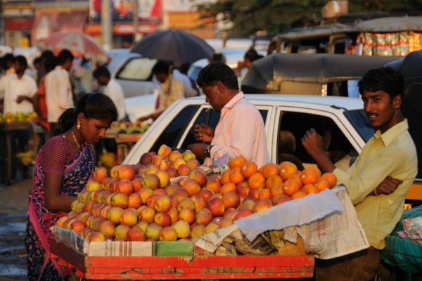 road-trip-moto-voyage-inde-sud-royal-enfield-kerala-karnataka-tamil-nadu-fruits