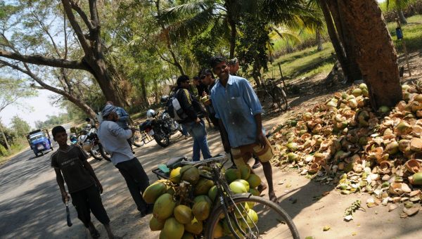 road-trip-moto-voyage-inde-sud-royal-enfield-kerala-karnataka-tamil-nadu-noix-coco