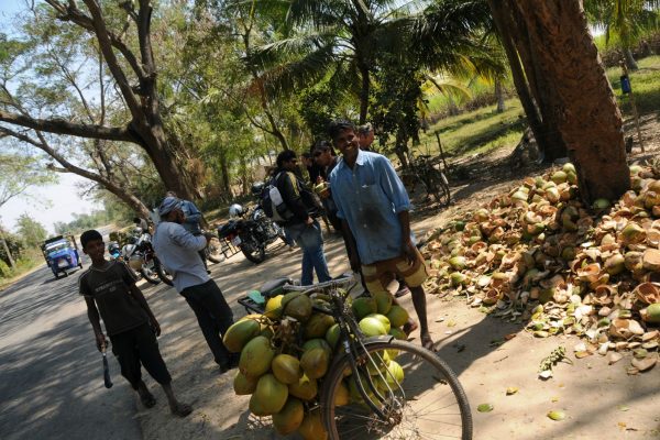 road-trip-moto-voyage-inde-sud-royal-enfield-kerala-karnataka-tamil-nadu-noix-coco