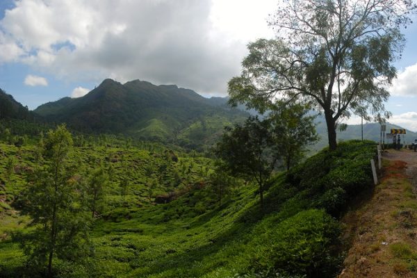 road-trip-moto-voyage-inde-sud-royal-enfield-kerala-karnataka-tamil-nadu-panorama-route-the