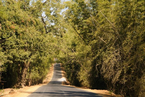 road-trip-moto-voyage-inde-sud-royal-enfield-kerala-karnataka-tamil-nadu-route (3)