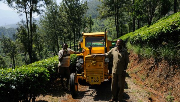 road-trip-moto-voyage-inde-sud-royal-enfield-kerala-karnataka-tamil-nadu-the-plantation-tracteur