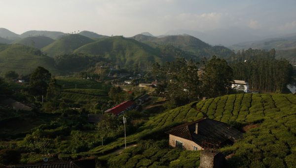 road-trip-moto-voyage-inde-sud-royal-enfield-kerala-munnar