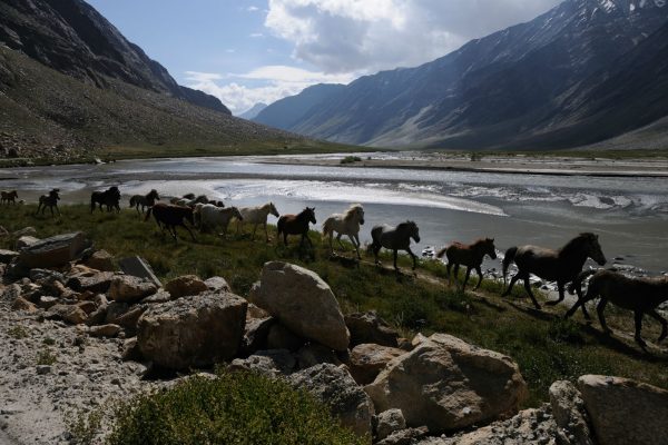 road-trip-moto-zanskar-ladakh-inde-royal-enfield (25)