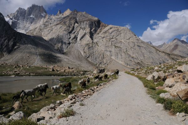 road-trip-moto-zanskar-ladakh-inde-royal-enfield (26)