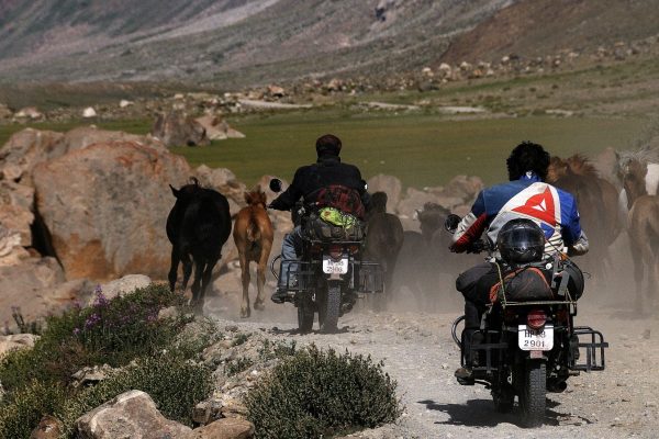 road-trip-moto-zanskar-ladakh-inde-royal-enfield (27)