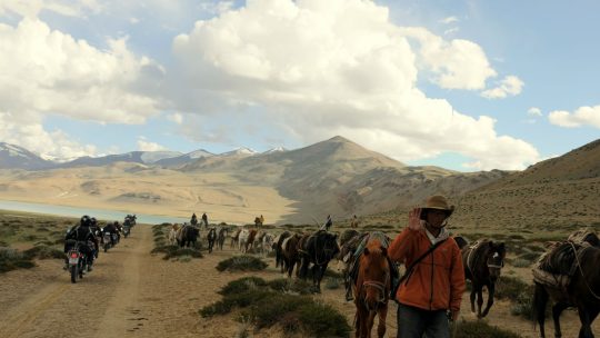 Sur les pistes du Tsokar - Voyage à moto Transhimalayenne et Ladakh, Inde, Himalaya en Royal Enfield