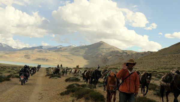 Sur les pistes du Tsokar - Voyage à moto Transhimalayenne et Ladakh, Inde, Himalaya en Royal Enfield