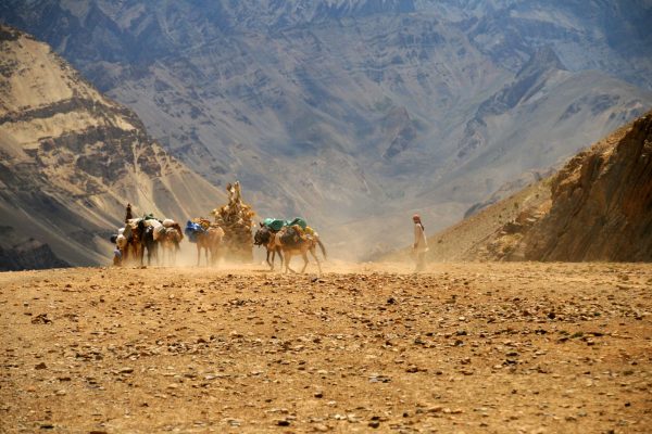 voyage-moto-ladakh-zanskar-inde-royal-enfield (6)