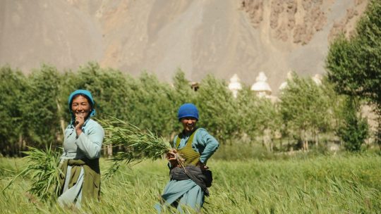 voyage-moto-ladakh-zanskar-inde-royal-enfield (8)