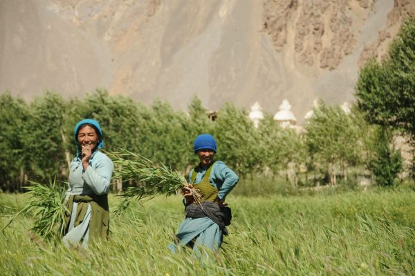 voyage-moto-ladakh-zanskar-inde-royal-enfield (8)